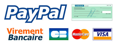 e-commerce paiement en ligne sécurisé paypal carte de crédit Pontarlier Besançon Doubs Franche-Comté